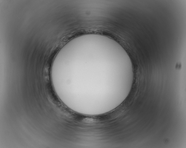 X0000114130699200910081003