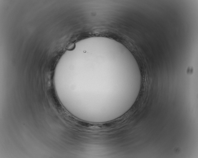 X0000114130703200910081003