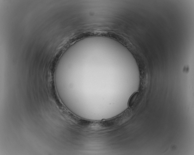 X0000114130704200910081003