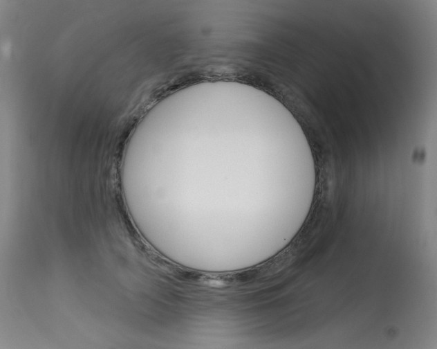 X0000114130706200910081003