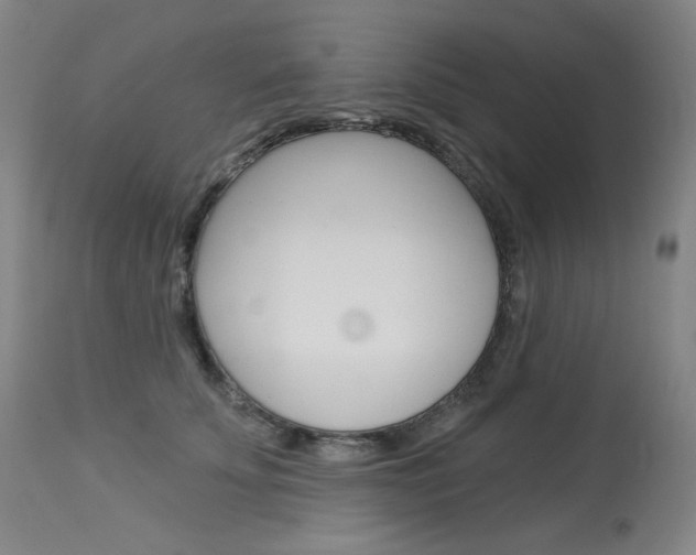 X0000114130707200910081003