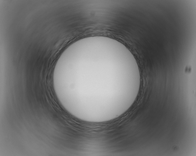 X0000114130709200910081002
