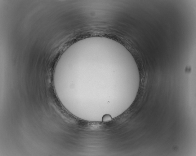 X0000114130710200910081002