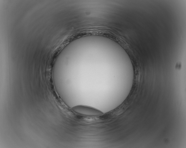 X0000114130712200910081002