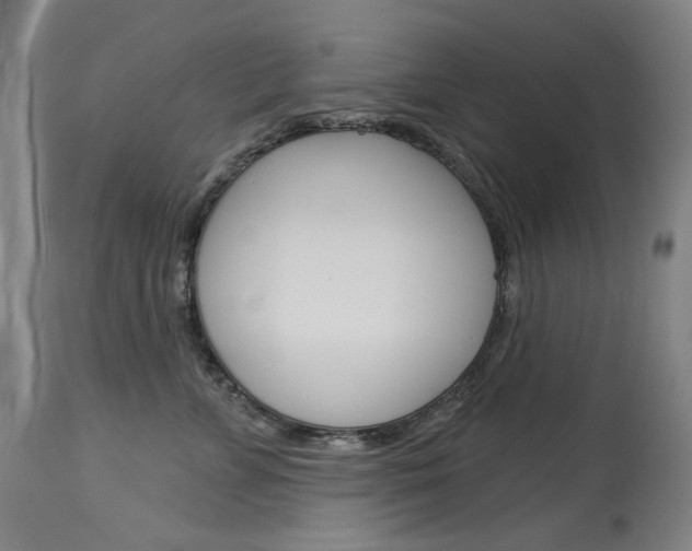 X0000114130715200910081002