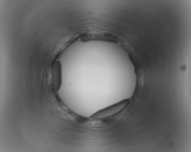 X0000114130716200910081002