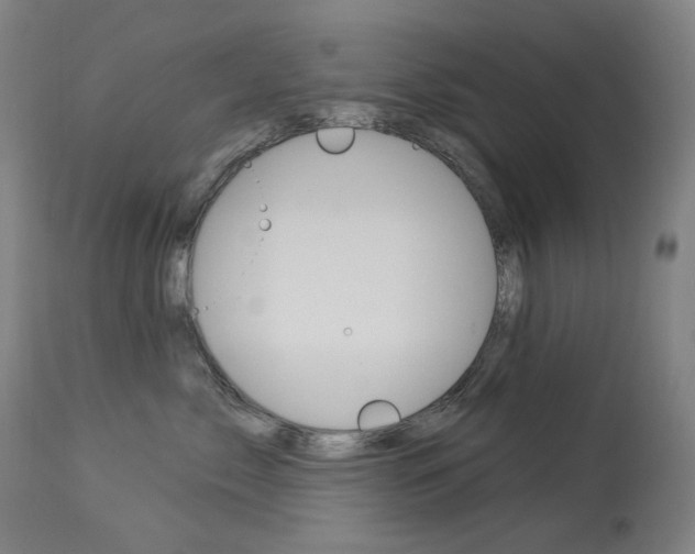X0000114130717200910081002