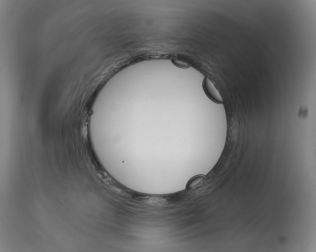 X0000114130719200910081002