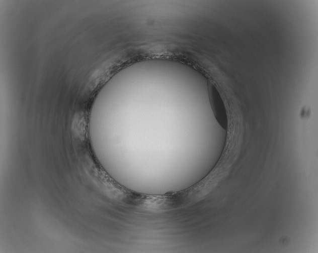 X0000114130720200910081002