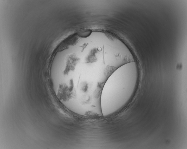 X0000114130721200910081001