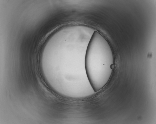 X0000114130722200910081001