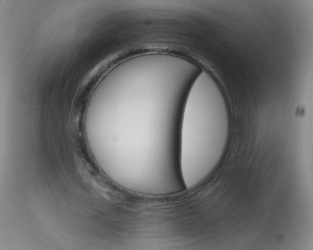 X0000114130723200910081001