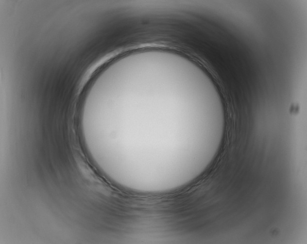 X0000114130724200910081001