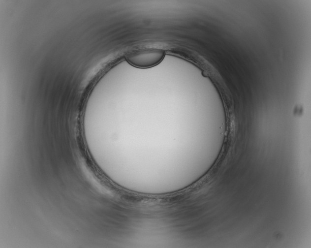 X0000114130725200910081001