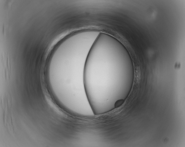 X0000114130726200910081001