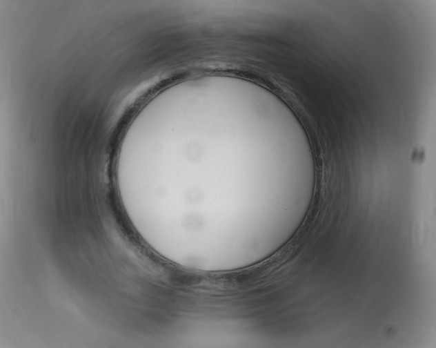 X0000114130727200910081001