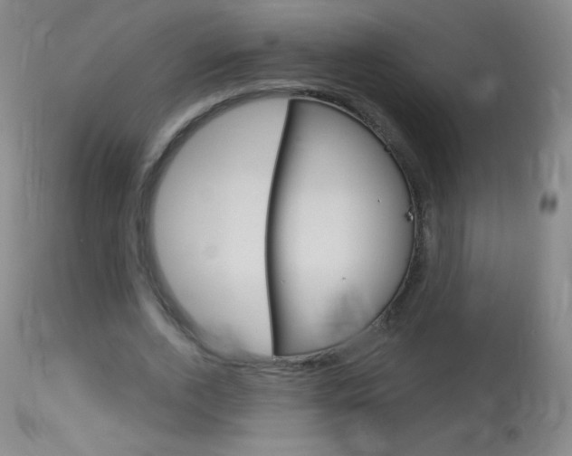 X0000114130728200910081001