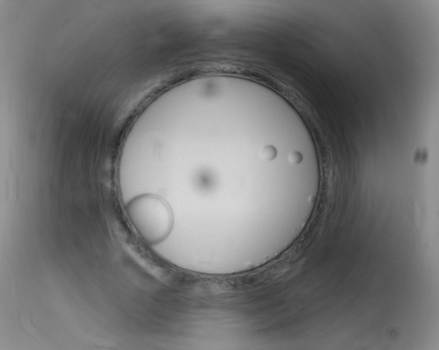 X0000114130729200910081001