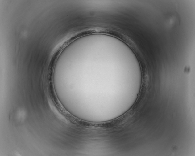 X0000114130730200910081002