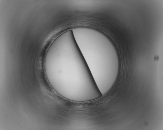 X0000114130731200910081002