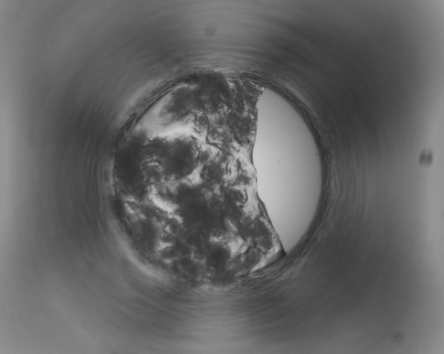 X0000114130733200910081002