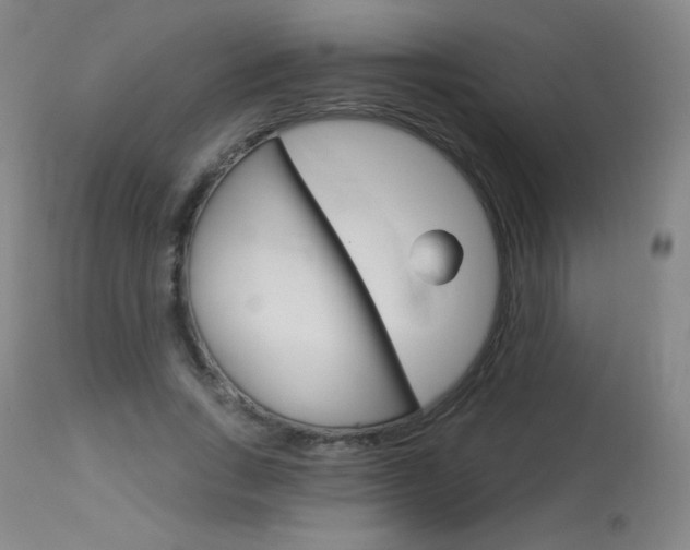 X0000114130735200910081002