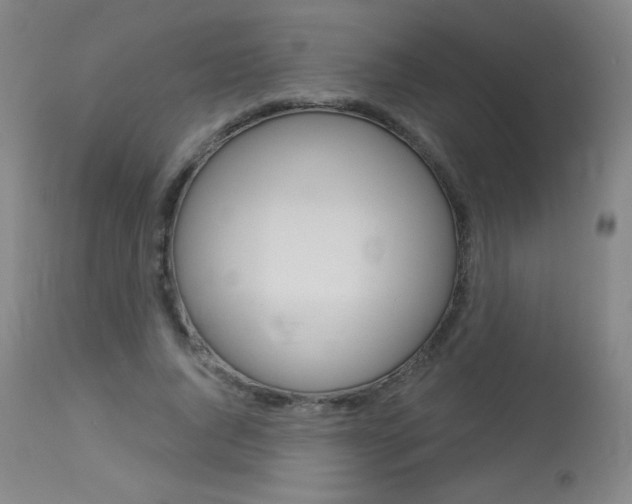 X0000114130736200910081002