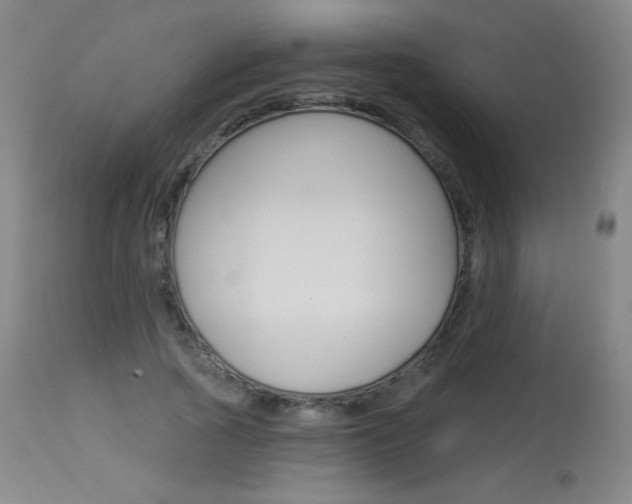 X0000114130737200910081002