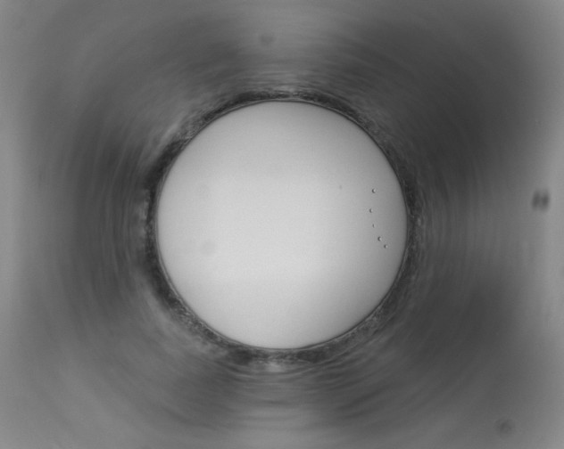 X0000114130739200910081002