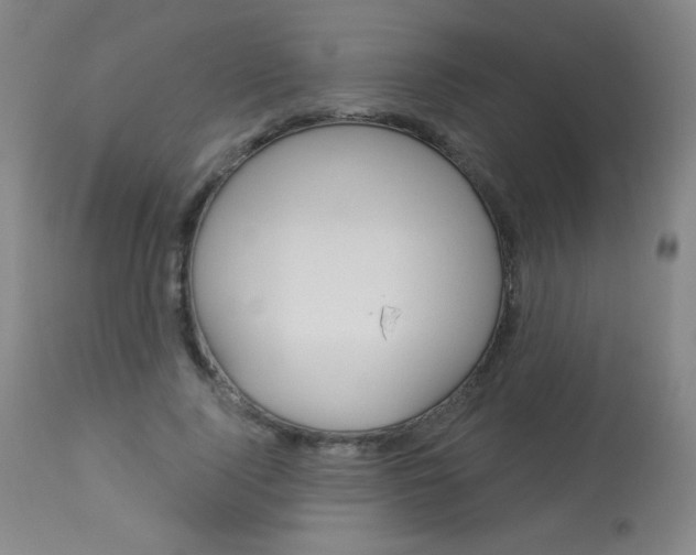X0000114130740200910081002