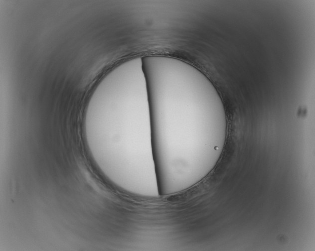 X0000114130742200910081002