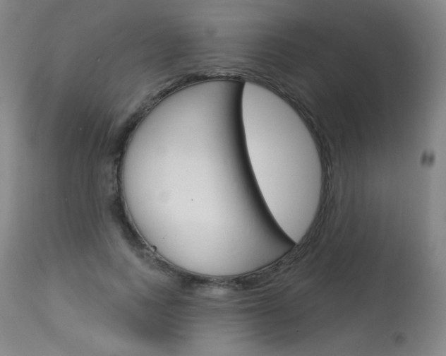 X0000114130743200910081002