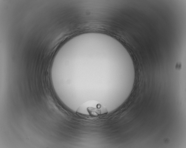X0000114130744200910081002