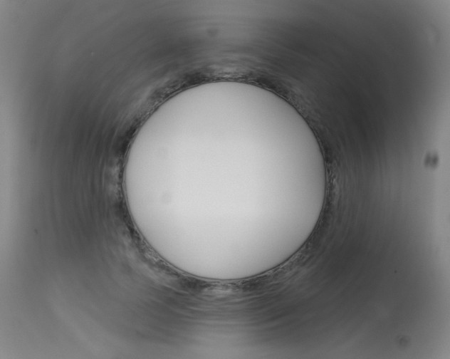 X0000114130745200910081002
