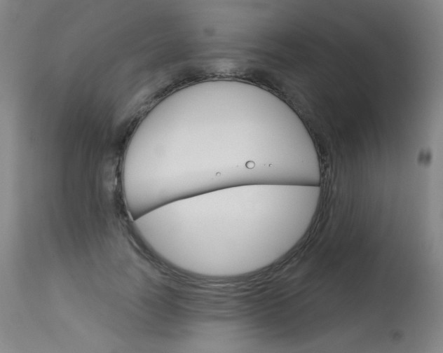 X0000114130746200910081002