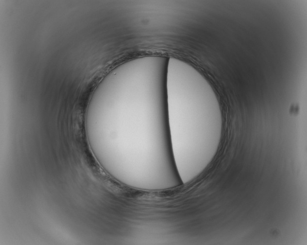 X0000114130747200910081002