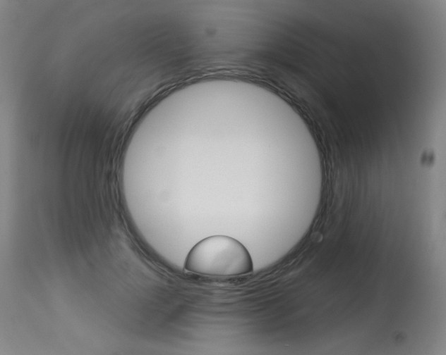 X0000114130748200910081002