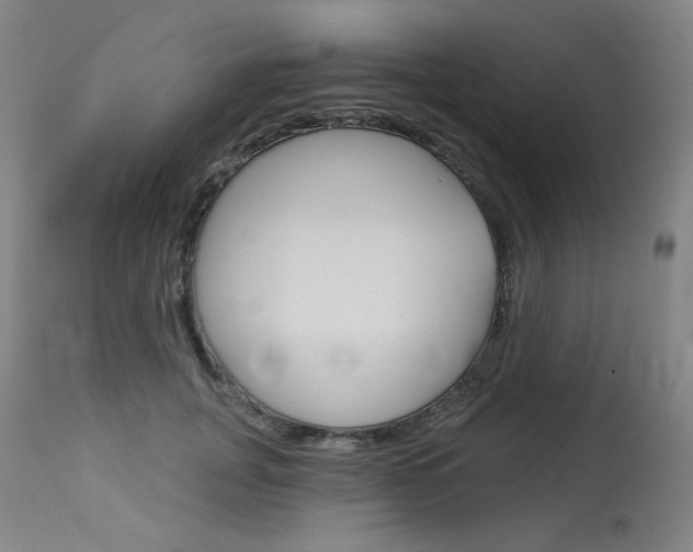 X0000114130751200910081002