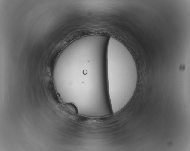 X0000114130752200910081002