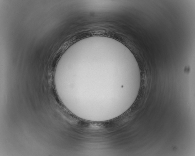 X0000114130753200910081002