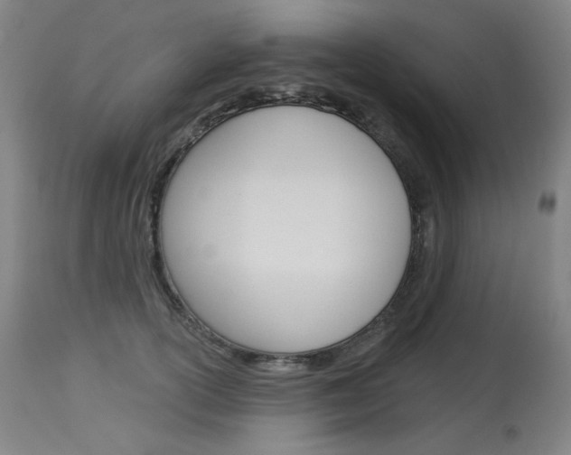 X0000114130754200910081002