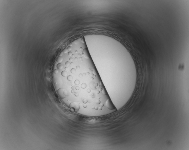 X0000114130755200910081002