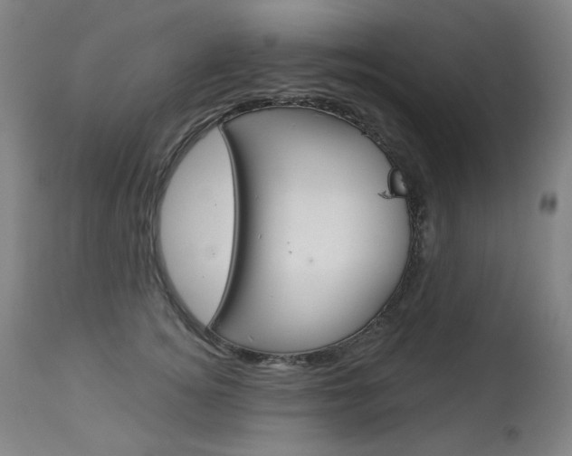 X0000114130756200910081002