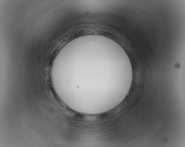 X0000114130757200910081002