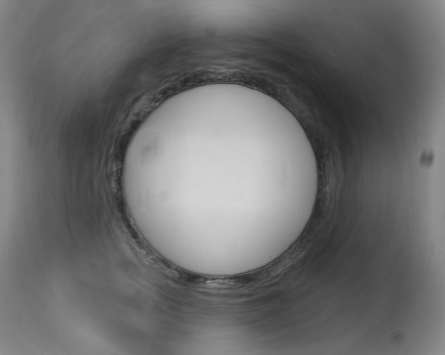 X0000114130758200910081002