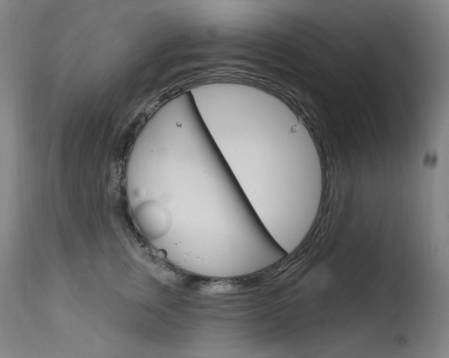 X0000114130759200910081002