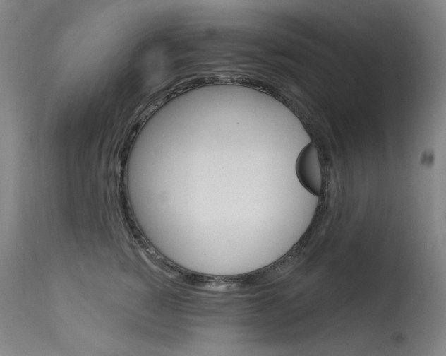 X0000114130760200910081002