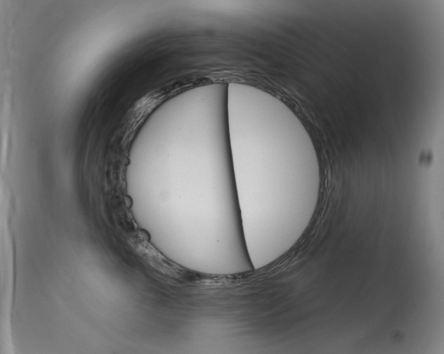 X0000114130763200910081002