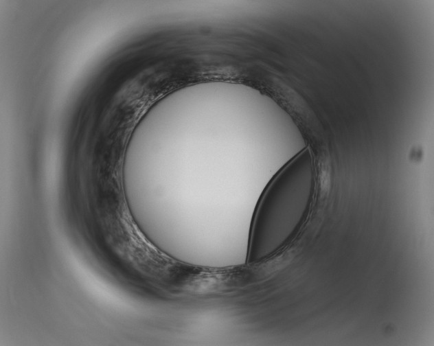 X0000114130764200910081002