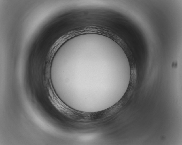 X0000114130765200910081002
